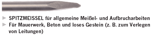 Projahn Spitzmeißel SDS-plus 250mm
